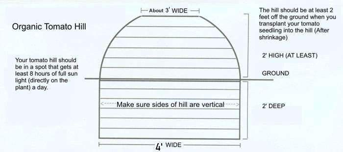 tomato hill diagram